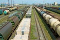 Freight trains in the depot. Royalty Free Stock Photo