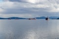 Freighters in the harbour at Ladysmith