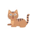 Freindly pet cat vector illustration design