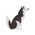 Freindly siberian husky dog character vector Illustrations on a white background