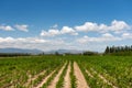 French agriculture landscape