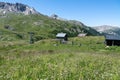 French alpine meadow landscape - Risoul France