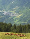 French Alpine Village