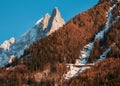 French Alps. Chamonix mountain view and forest Royalty Free Stock Photo