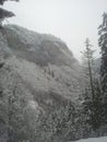 French Alps Snowscape With Woodland and Cliff Royalty Free Stock Photo