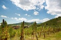 French Alsace wine village Royalty Free Stock Photo