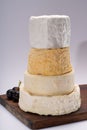 French AOC soft cow cheeses, crumbly Langres with washed rind st Royalty Free Stock Photo