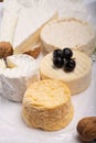 French AOC soft cow cheeses, crumbly Langres with washed rind st Royalty Free Stock Photo
