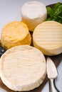 French AOC soft cow cheeses, crumbly Langres with washed rind st Royalty Free Stock Photo