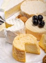 French AOC soft cow cheeses, crumbly Langres with washed rind st Royalty Free Stock Photo