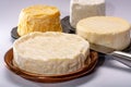 French AOC soft cow cheeses, crumbly Langres with washed rind st