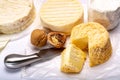 French AOC soft cow cheeses, crumbly Langres with washed rind st Royalty Free Stock Photo