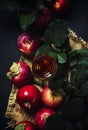 French apple brandy or calvados, dark drink autumn background, t