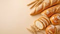 Assorted bread slices and whole rolls with wheat stalks on a beige background Royalty Free Stock Photo