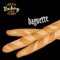 French baguettes vector. Baked bread product.