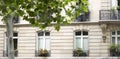 French Balconies With Flowers in Paris Royalty Free Stock Photo