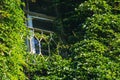 French Balcony in Old Building Covered with Ivy Royalty Free Stock Photo