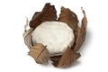 French Banon cheese in chestnut leaves