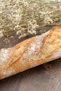 French baquette bread Royalty Free Stock Photo