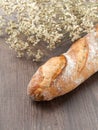 French baquette bread Royalty Free Stock Photo