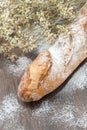 French baquette bread Royalty Free Stock Photo