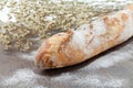 French baquette bread Royalty Free Stock Photo