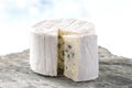 French blue cheese Bresse Bleu