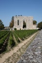 French bordeaux vineyards and ruins of an ancient convent in Saint Emilion France Royalty Free Stock Photo