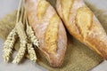 French bread baguettes Royalty Free Stock Photo