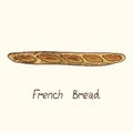 French bread, hand drawn doodle, sketch, vector illustration