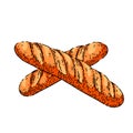 french bread sketch hand drawn vector