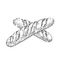 french bread sketch hand drawn vector