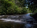 French Broad River near Brevard, North Carolina