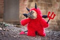 French Buldog with red devil costum wearing a fluffy full body suit with fake arms holding pitchfork, with devil tail, horns, wing