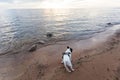 Traveling with dog. Bulldog at the seashore watches sunset