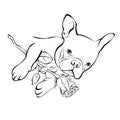 French bulldog background. Vector illustration. Dog, illustration