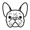 French bulldog black and white hand drawn cartoon portrait. Funny cute bulldog puppy face. Dogs, pets themed design element, icon