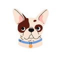 French bulldog breed, cute puppy. Little dog head, canine portrait, avatar. Funny doggy muzzle, snout. Small pup face