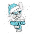 French bulldog in a Christmas hat and sunglasses.