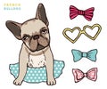 French bulldog. Cute puppy bulldog with accessorises. Dress up your dog vector illlustration Royalty Free Stock Photo