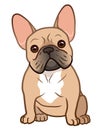 French bulldog cute sitting puppy with funny head tilt vector cartoon illustration isolated on white. Dogs, pets, animal lovers