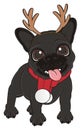 French bulldog with deer horns Royalty Free Stock Photo