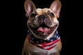 French Bulldog dog with American flag neckerchief on black background. Generative AI