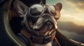 french bulldog dog in aviator helmet and goggles on sky background