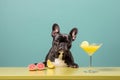 french bulldog dog cheering a toast with martini cocktail drink AI generated