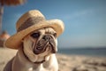 French Bulldog dog cute dog wearing summer straw hat on sandy beach with ocean and blue sky in background