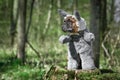 French Bulldog dog dressed up as Big Bad Wolf from fairytale Little Red Riding Hood with furry full body costumes with fake arms