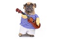 French Bulldog dog dressed up as guitar player wearing a costume with striped shirt, pants and fake arms holding a guitar Royalty Free Stock Photo