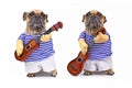 French Bulldog dog dressed up as guitar player wearing a costume with striped shirt, pants and fake arms holding a guitare Royalty Free Stock Photo