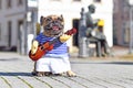 French Bulldog dog dressed up as street perfomer musician wearing a funny costume with shirt and arms holding a toy guitar Royalty Free Stock Photo